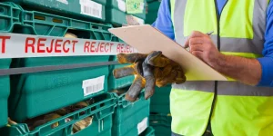 Worker With Rejected Produce In Food Processing Warehouse
